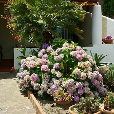 Il Cappero Bed & Breakfast *