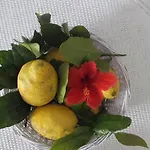 Il Cappero Bed & Breakfast 3*