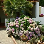 Il Cappero Bed & Breakfast 3*